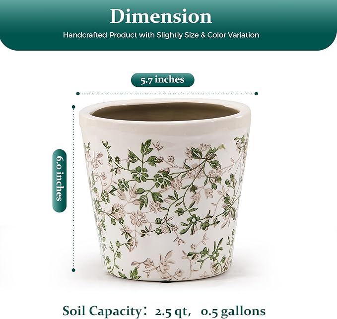 Ceramic Planter with Drainage Hole, Plastic Tray & Mesh, 6 Inch - Indoor/Outdoor Flower Pot for Orchids, Succulents, Green Floral Modern Farmhouse Décor for Home,Office and Garden, Ideal Gift