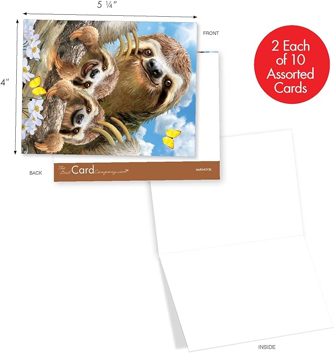 The Best Card Company - 10 Blank Animal Cards Boxed (4 x 5.12 Inch) - Assorted Pets, Zoo, Wildlife Cards - Smiling Sloths AM6864OCB-B1x10