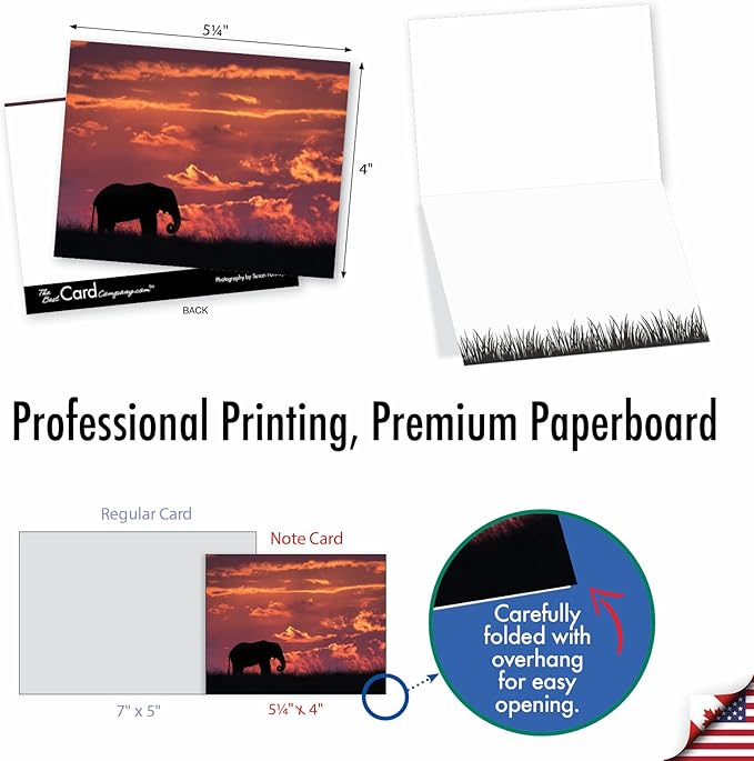 The Best Card Company - 10 Blank Animal Cards Boxed (4 x 5.12 Inch) - Assorted Pets, Zoo, Wildlife Cards for Kids - Safari Sunsets M6551OCB