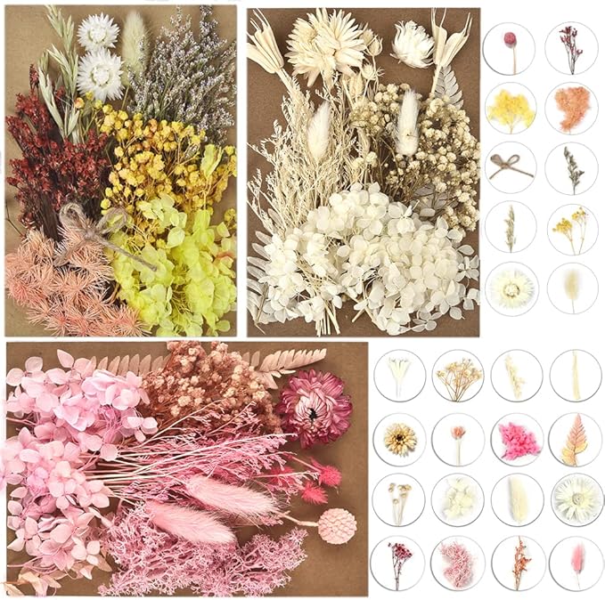 DALARAN 3 Pack Dried Flowers for Candle Making DIY Pressed Dried Flowers Multiple Natural Pressed Flowers Colorful Decorative Dried Pressed Fowers for Crafts