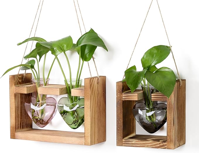2+1 Plant Terrarium Plant Propagation Station Birthday Gifts for Women Home Office Decor with Wooden Stand