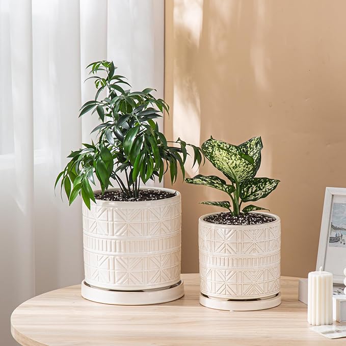Ceramic Plant Pots Indoor-Outdoor: 6 Inch Embossed Planters with Drainage Hole & Saucer - Modern Decorative Flower Pots for Home Garden Patio Office Decor