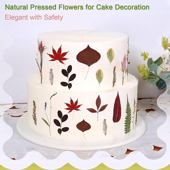 Large Bulk Fall Dried Pressed Leaves for Craft, Real Dry Natural Flower Leaf Daisy for Resin Mold, Cake Decor, Phone Cases (Autumn Leaves)