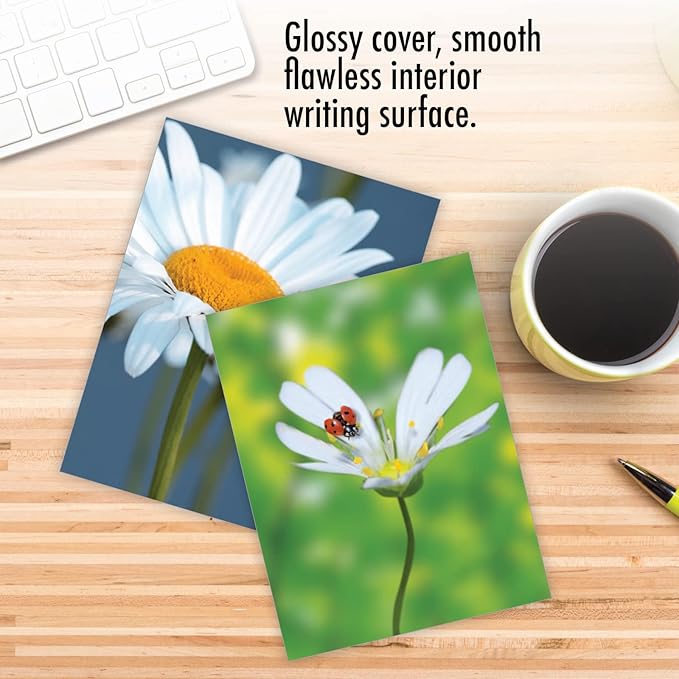 The Best Card Company - 10 Blank Note Cards for Men and Women (4 x 5.12 Inch) - Fun Pets, Zoo, Wildlife Cards, Assorted Greetings Boxed - My Fair Ladybug AM6332OCB-B1x10
