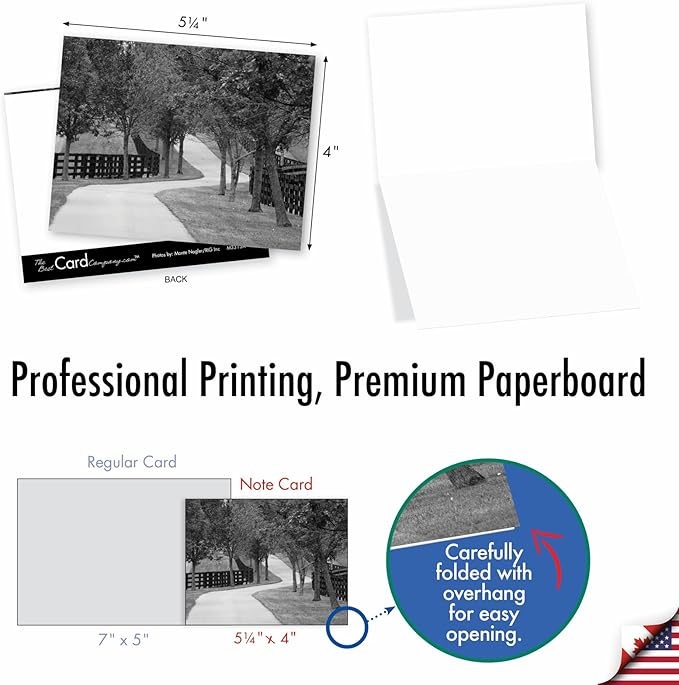 The Best Card Company - 20 All Occasion Blank Greeting Cards (4 x 5.12 Inch) - Monocolor Photos (10 Designs, 2 Each) - Tree Lines AM3313OCB-B2x10
