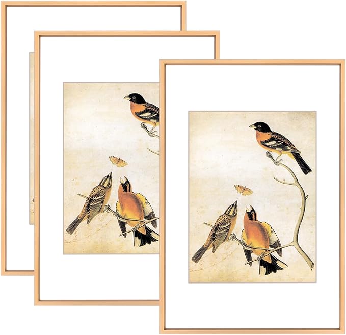 8x12 Picture Frame Set of 3, Gold Aluminum Metal Photo Frames with HD Glass, Fits 6x8 with Mat or 8 x 12 without Mat, Display for Wall
