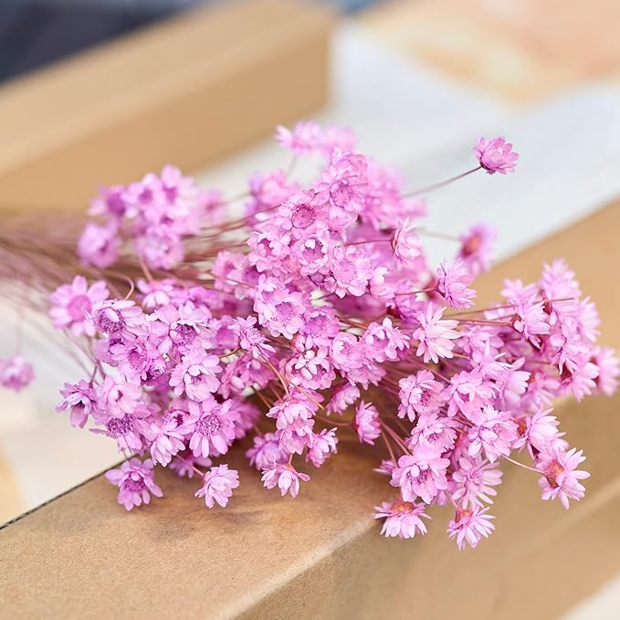 Natural - Dried - Flowers Brazilian Small Star Daisy Dried Decorative Mini Chamomile Bouquet for Wedding Floral Arrangements Home Decorations Valentine's Day Gifts (200 Stems) (Light Purple )