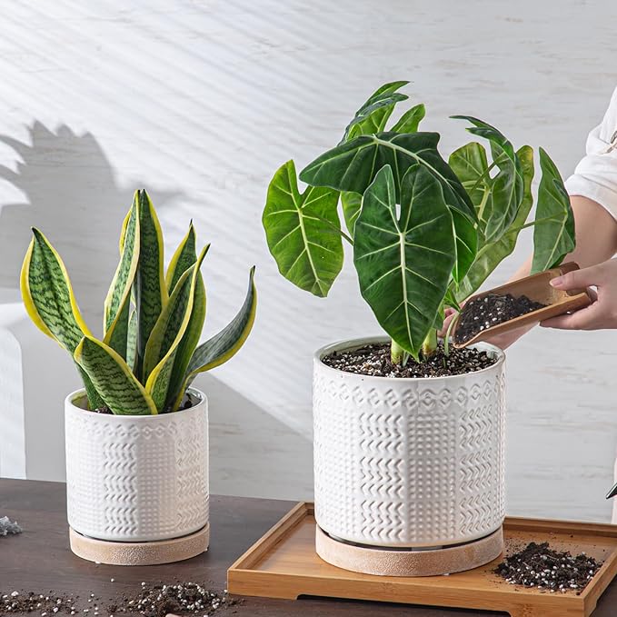 Indoor-Outdoor Ceramic Plant Pots: 8 Inch Flower Pots with Drainage Hole & Saucer - Decorative Ceramic Pots for Plants Herbs Succulents - Home Garden Patio Lawn Use (White)