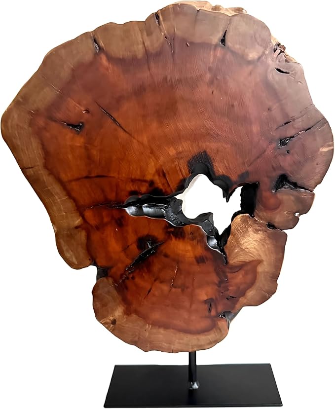 THY COLLECTIBLES Irregular Handcarved Root Wood Sculpture, Wood Tabletop Abstract Standing Sculpture for Home Decor Natural Edge Tabletop Statue Tree Stump - Large (W10.25in x H14in)