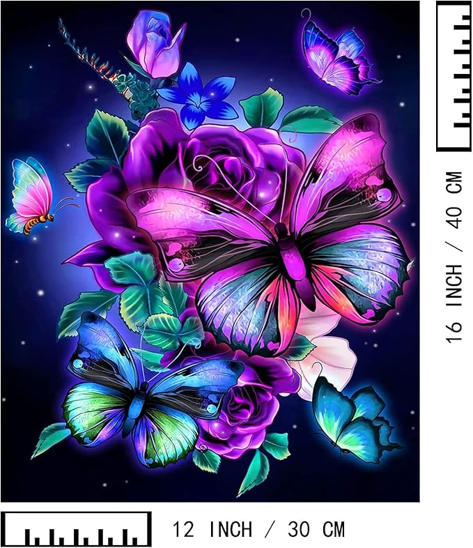 BAISITE Paint by Numbers Kit for Adults Beginners,12" Wx16 L 2 Pack Canvas for Painting Kits for Adults in Colorful Box-Butterflies 5152-DIY Frame
