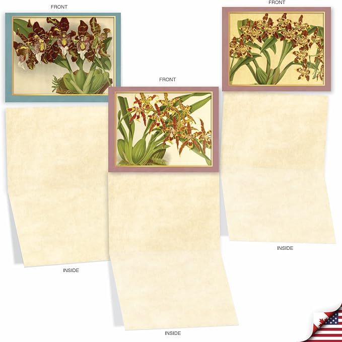 The Best Card Company - 10 Boxed Note Cards with Flowers - Blank Assorted Floral Notecards Bulk (4 x 5.12 Inch) - Tiger Orchids M10037BK
