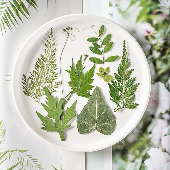 84 Pcs Dried Leaves Pressed Flowers for Resin Molds, Real Natural Assorted Dry Greenery for Leaf Craft DIY, Jewelry Making, Decoration Supplies, Soap and Candle Making