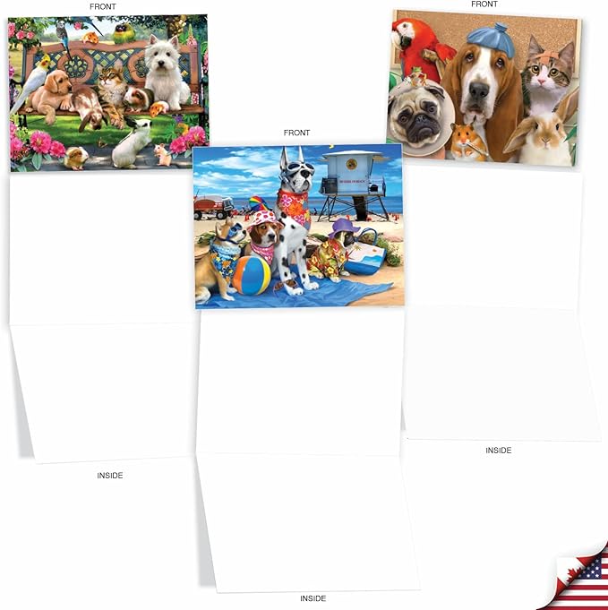 The Best Card Company - 10 Blank Animal Cards Boxed (4 x 5.12 Inch) - Assorted Pets, Zoo, Wildlife Cards for Kids - Off the Leash M6641OCB