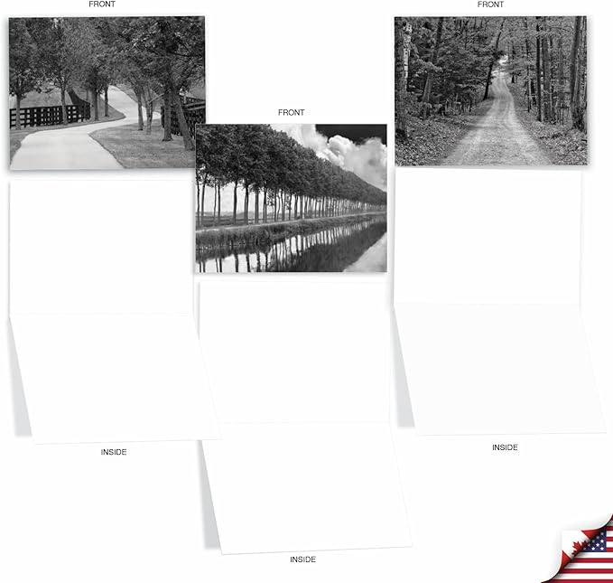 The Best Card Company - Box of 10 All Occasion Cards Blank (4 x 5.12 Inch) - Scenic Landscape Cards Assorted - Tree Lines M3313-NB