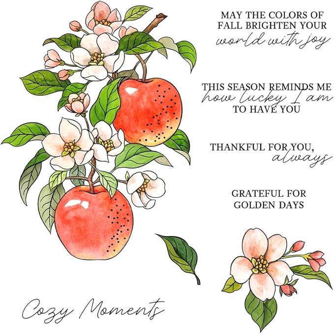 Fruit Flower Branches Stamps and Cutting Dies for Card Making DIY Transparent Silicone Clear Stamp and Metal Die Cuts Sets for Scrapbooking Paper Greeting Cards Decor Seals Craft Supplies