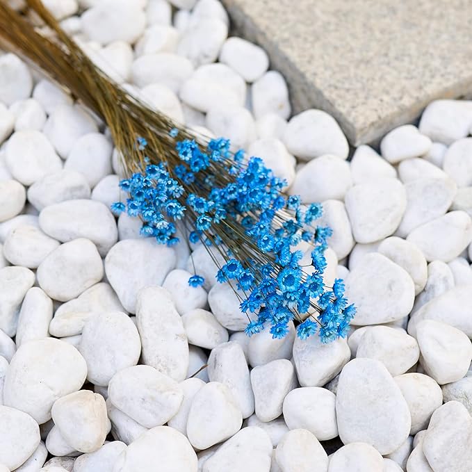 Natural - Dried - Flowers Brazilian Small Star Daisy Dried Decorative Mini Chamomile Bouquet for Wedding Floral Arrangements Home Decorations Valentine's Day Gifts (200 Stems) (Indigo Blue)