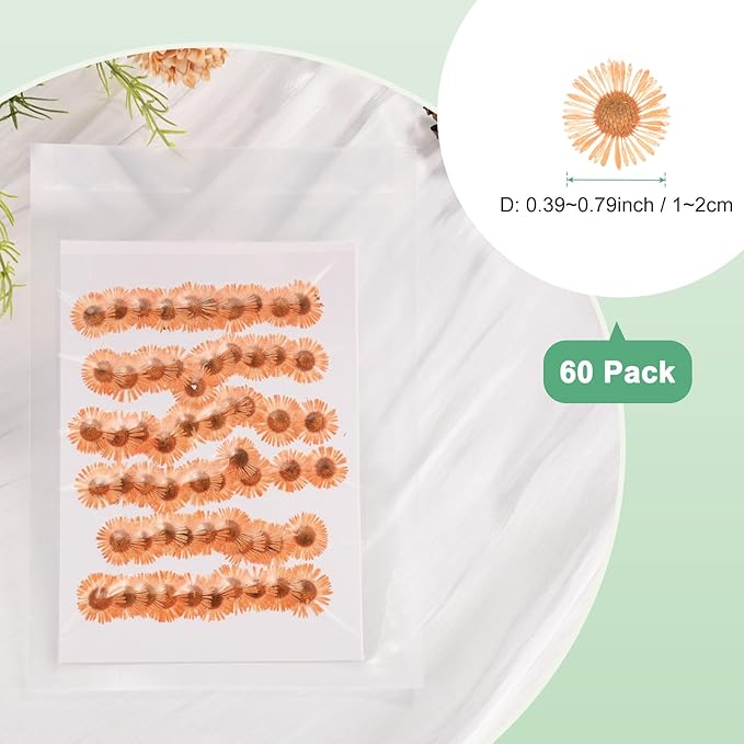 60-Pack Dried Pressed Flowers for Resin, Real Natural Bulk Dry Floral for Crafts/DIY Jewelry/Soap Making/Scrapbooking/Handmade Candle/Epoxy Resin Supplies [Orange]