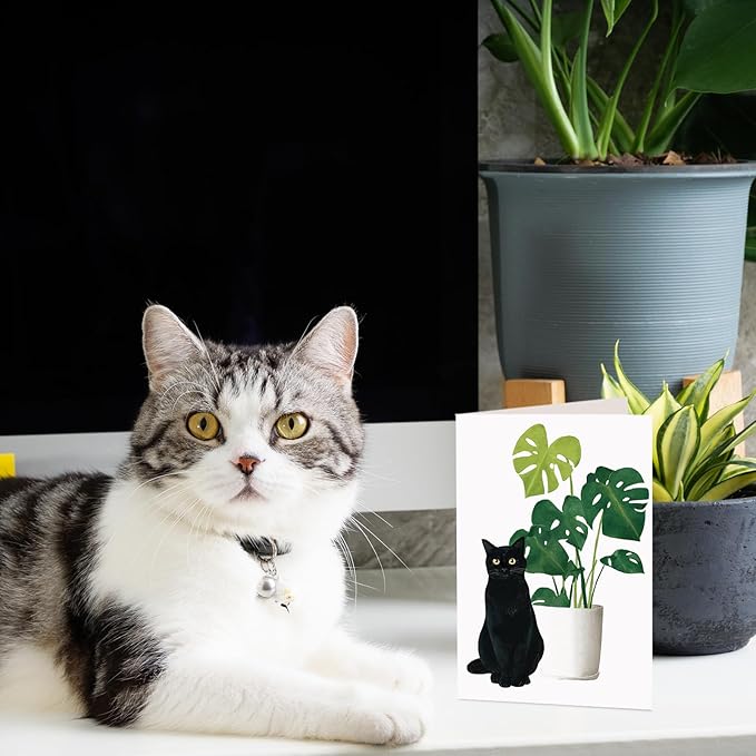 Whaline 36 Pcs Botanical Black Cat Greeting Cards Blank Note Cards 6 style Blank Note Card with Envelope Stickers for Party Invitations, 4 x 6 Inch