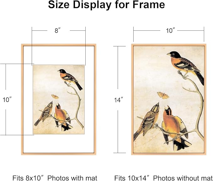 10x14 Picture Frame, Gold Aluminum Metal Photo Frames with HD Glass, Fits 8x10 with Mat or 10 x 14 without Mat, Display for Wall