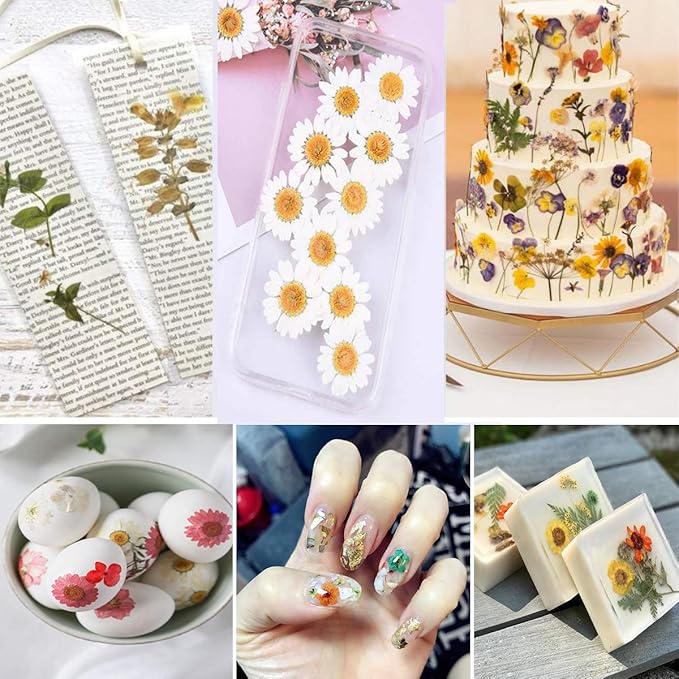 148PCS Pink Dried Pressed Flowers with Butterfly Stickers - YouthBro Real Nature Flowers Craft Set for Resin Jewelry Candle Soap Vase Making Nail Card Scrapbook Art Floral Decors