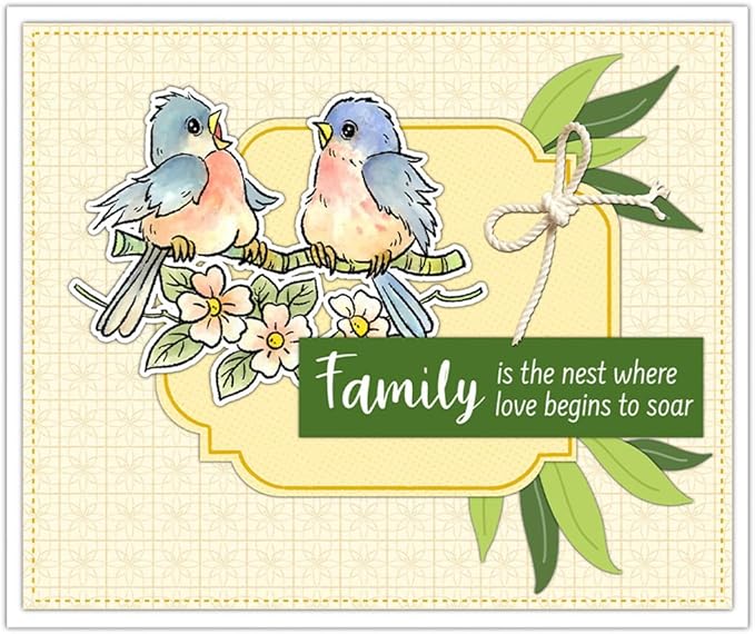Bird Branch Stamps and Cutting Dies for Card Making DIY Transparent Silicone Clear Stamp and Metal Die Cuts Sets for Scrapbooking Paper Greeting Cards Decor Seals Craft Supplies