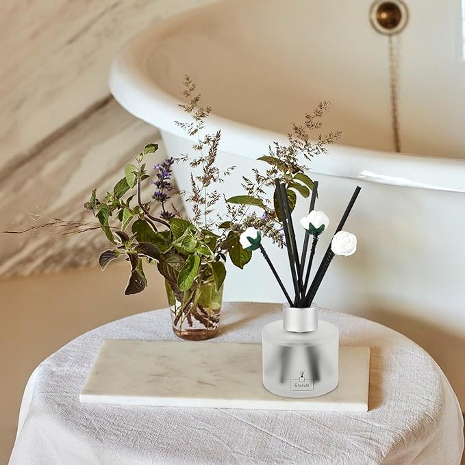 Brakula 2 Pack Reed Diffuser Set, Eucalyptus & Wild Mint Scented, Home Fragrance with 14 Sticks Bathroom Decor, Reed diffusers for Home 6.76 fl oz (Eucalyptus & Wild Mint)