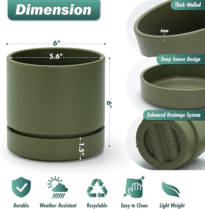 Phoenix Vine 6 Inch Planter Pot with Drainage Hole & Saucer, Deep Water Catch Tray, Straight Cylindrical Round Pot for Plants, Olive, Pack of 2, 23-F-S-2