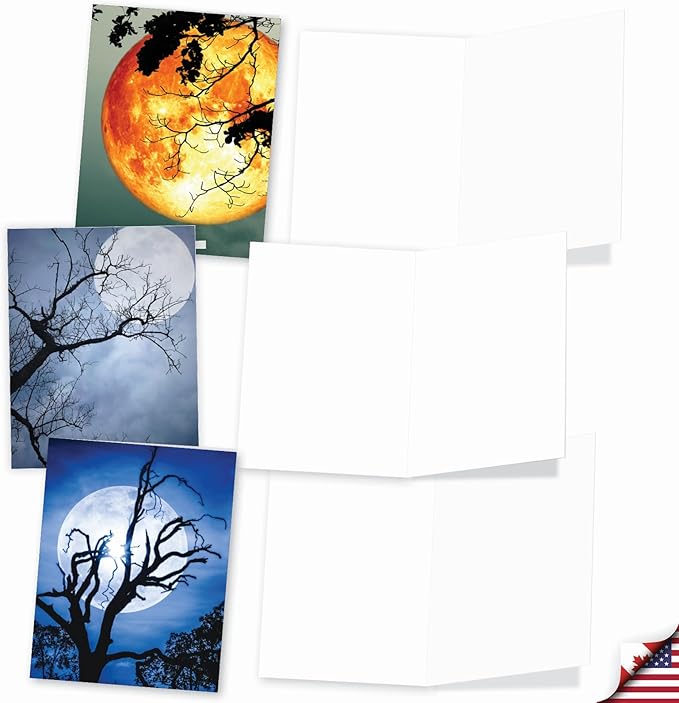 The Best Card Company - 20 Landscape Nature Note Cards Blank (4 x 5.12 Inch) (10 Designs, 2 Each) - Moonshine AM7169OCB-B2x10