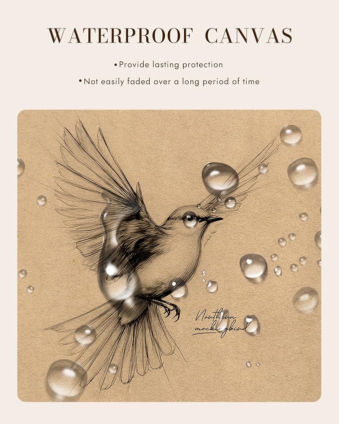 Bzstyleart Vintage Wall Art Decor,Framed Vintage Wall Decor Texas State Bird,Anthropologie Art,Birds Canvas Prints Home Decor,Sketch Painting Picture for Living Room Decor,12L x 16W
