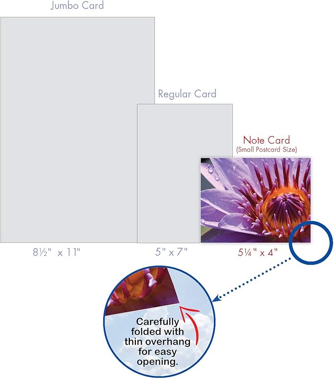 The Best Card Company - 10 Blank Note Cards with Flowers (4 x 5.12 Inch) - Floral Notecards, All Occasion Boxed Assortment - Lily Pond M3070