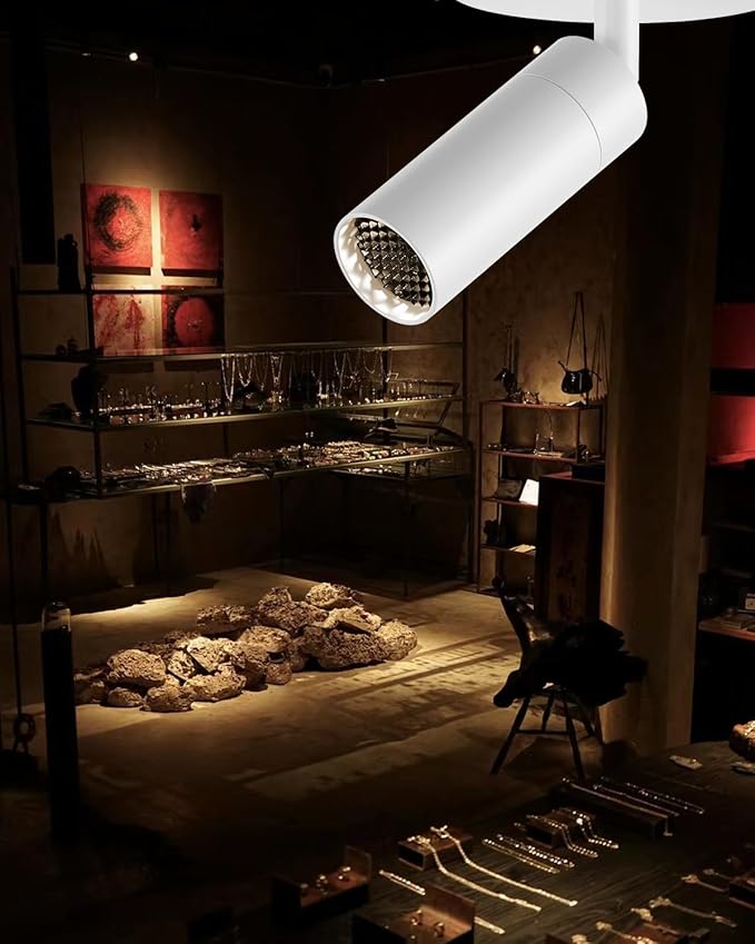 Zoomable LED Ceiling Spotlight Fixture, Flush Mount Adjustable Spotlight, Indoor Bright Accent Monopoint Fixture for Living Room Bedroom Loft Cafe Bar