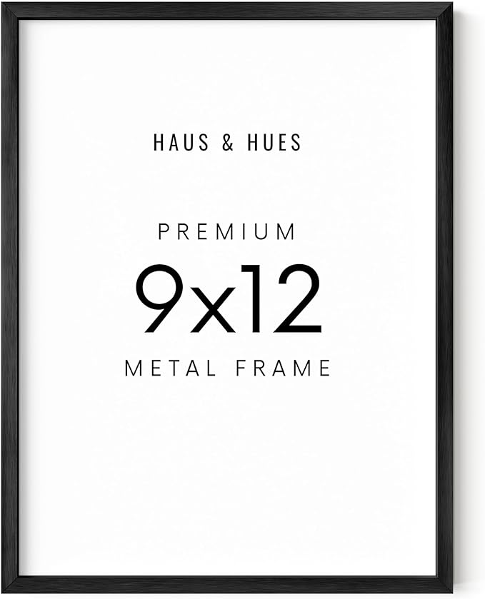 HAUS AND HUES 9x12 Black Metal Picture Frame - Features Premium Aluminum & Hanging Hardware, Shatterproof Plexiglass - Ideal for Home, Room, Office (9x12 in, Black, Set of 1)