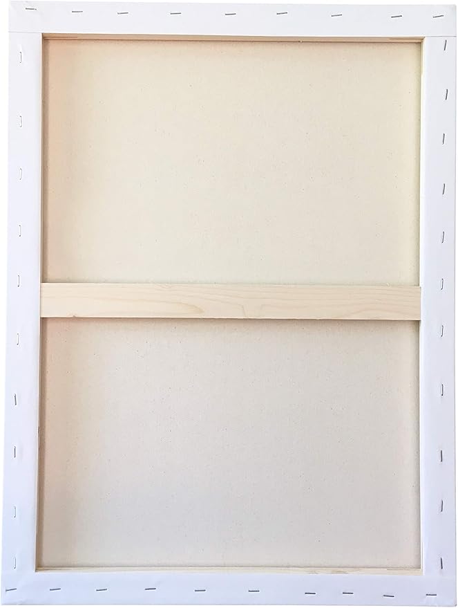 milo Pro Stretched Artist Canvas | 24x30 inch | Pack of 4 | 3/4” inch Thick Studio Profile | Ready to Paint 11 oz Primed Heavy Duty Large Canvas Art Supplies for Painting