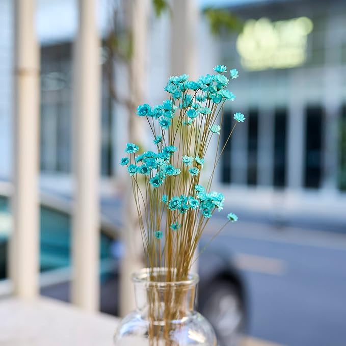 Natural - Dried - Flowers Brazilian Small Star Daisy Dried Decorative Mini Chamomile Bouquet for Wedding Floral Arrangements Home Decorations Valentine's Day Gifts (200 Stems) (Blue)