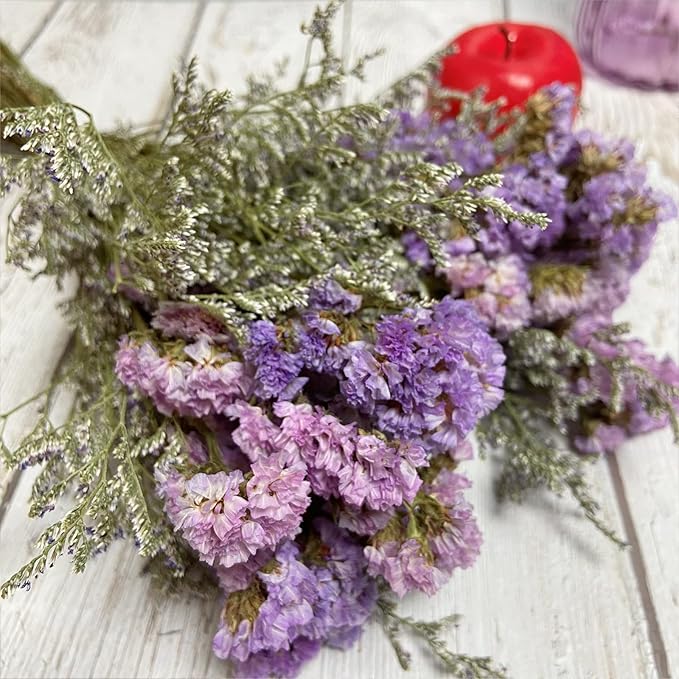 L'BREVOGA Dried Flowers with Stem, 16 inches Statice/Sea Lavender Dried Flower for Floral Arrangments Home Decoration (Statice)