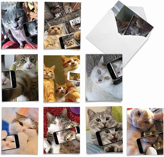 The Best Card Company - 10 Adorable Blank Cat Cards (4 x 5.12 Inch) - Cute Pet Kittens, Assorted Bulk Notecard Set - Cats Selfie M4953OCB-B1x10-NB