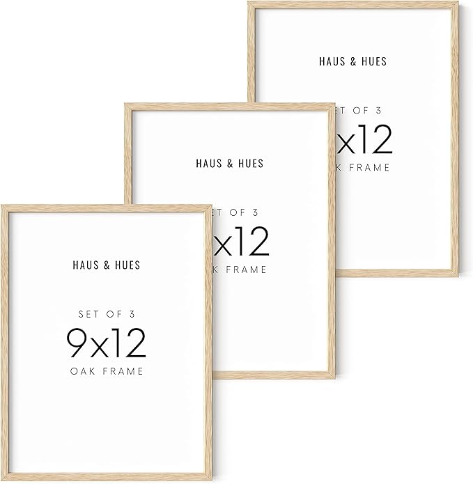 HAUS AND HUES Beige Oak Wood 9x12 Picture Frame - Modern Wood Wall Art Display - Lightweight 9x12 Frame for Art Prints, Photos, Posters - Ready-to-Hang Vertically & Horizontally (Set of 3)