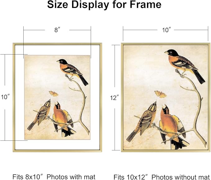 10x12 Picture Frame, Brass Aluminum Metal Photo Frames with HD Glass, Fits 8x10 with Mat or 10 x 12 without Mat, Display for Wall, 1 Pack