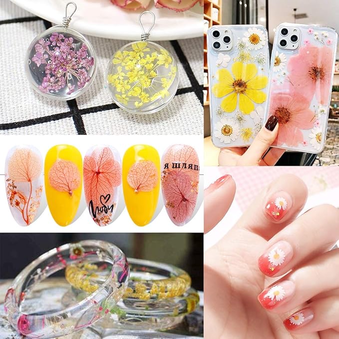 170Pcs+ Real Dried Pressed Flowers Leaves Petals for Crafts-Beautiful Pressed Flowers Daisies for Resin Jewellery, Pressed Flowers Nail Pendant Crafts Making Craft DIY Accessories with 1pcs Tweezers