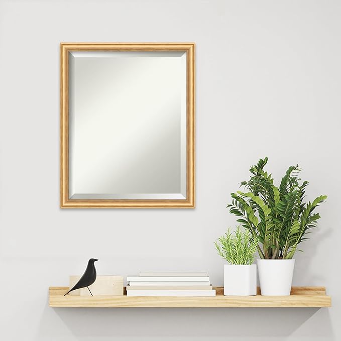 Amanti Art Gold Wall Mirror 22x18 Salon Scoop Gold Rectangle Bathroom Mirror for Wall Decor Living Room, Small Casual Wood Frame, Hangs Horizonally and Vertically, Bathroom Decor, Beveled Edge