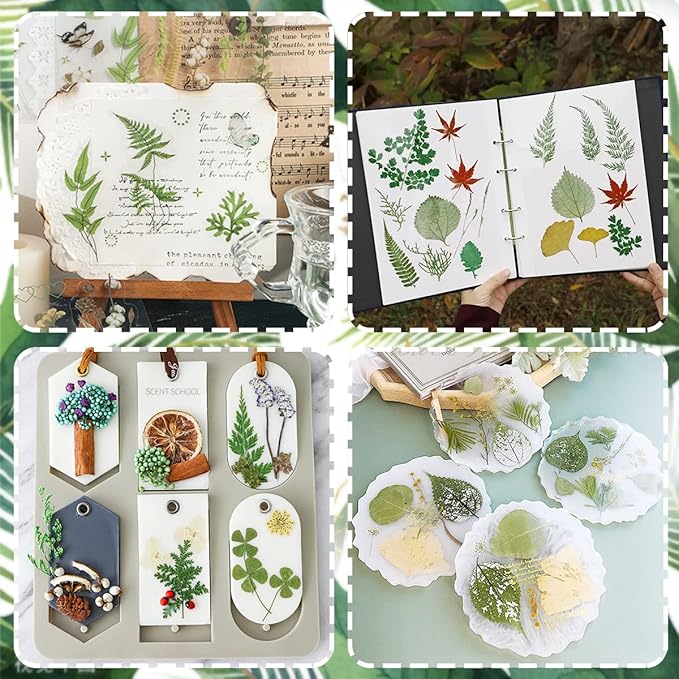 Cinvo 63 Pcs Real Dried Pressed Leaves Natural Assorted Dried Greenery with Tweezer for Resin Candle Jewelry Soap Nail Pendant Phone Case Art Craft DIY Embellishment Decorations(2023
