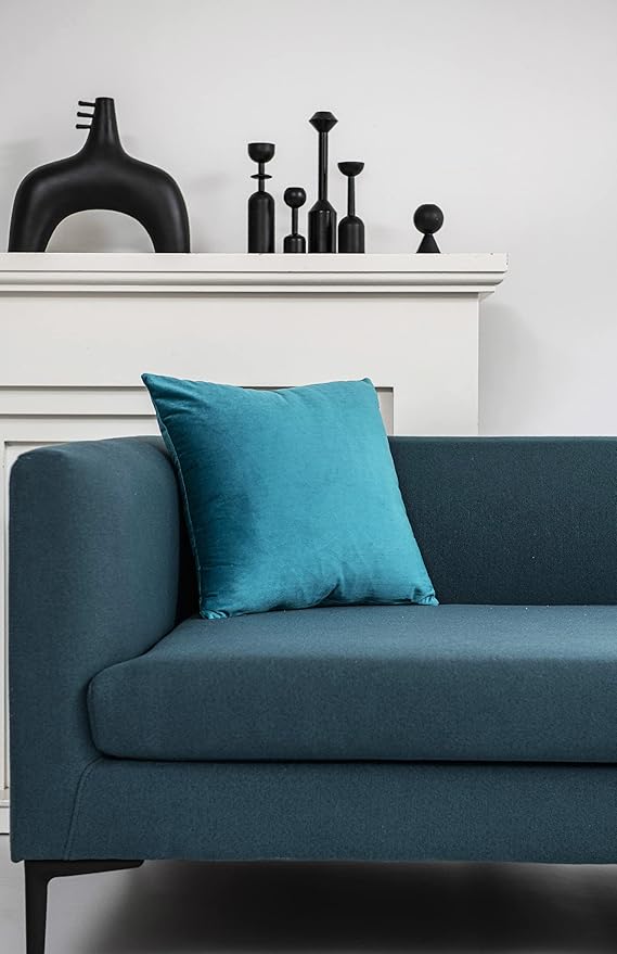 Throw Pillow Cases 24x24 Turquoise: 2 Pack Cozy Soft Velvet Square Decorative Pillow Covers for Farmhouse Home Decor