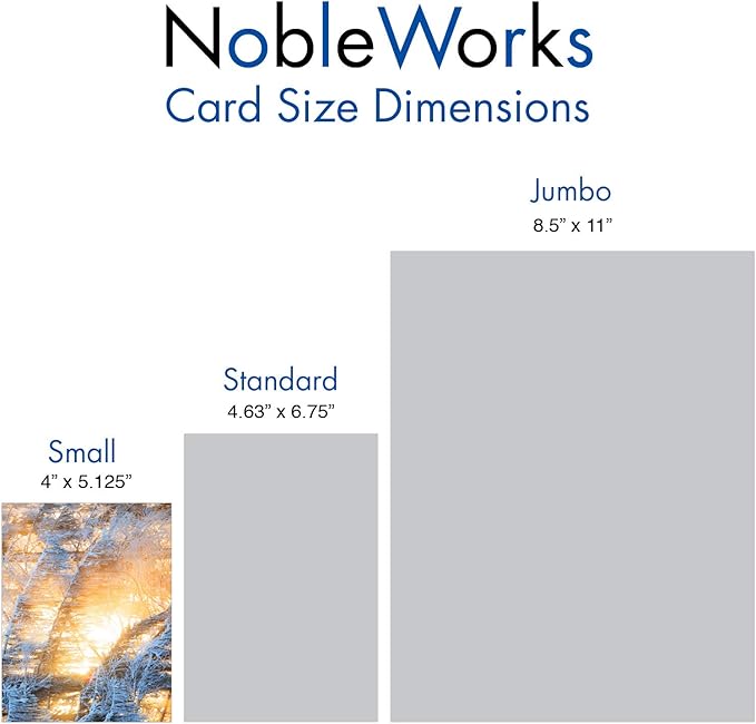 The Best Card Company - 20 Landscape Nature Note Cards Blank (4 x 5.12 Inch) (10 Designs, 2 Each) - Winter Sunrise AM6655OCB-B2x10