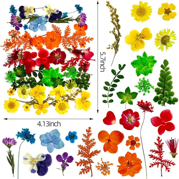 50 Pcs Rainbow-Colored Dried Pressed Flowers for Resin, Natural Dried Flowers Leaves, Real Herbs Kit for Scrapbooking DIY Art Crafts, Epoxy Jewelry, Candle, Soap Making, Nails Decor