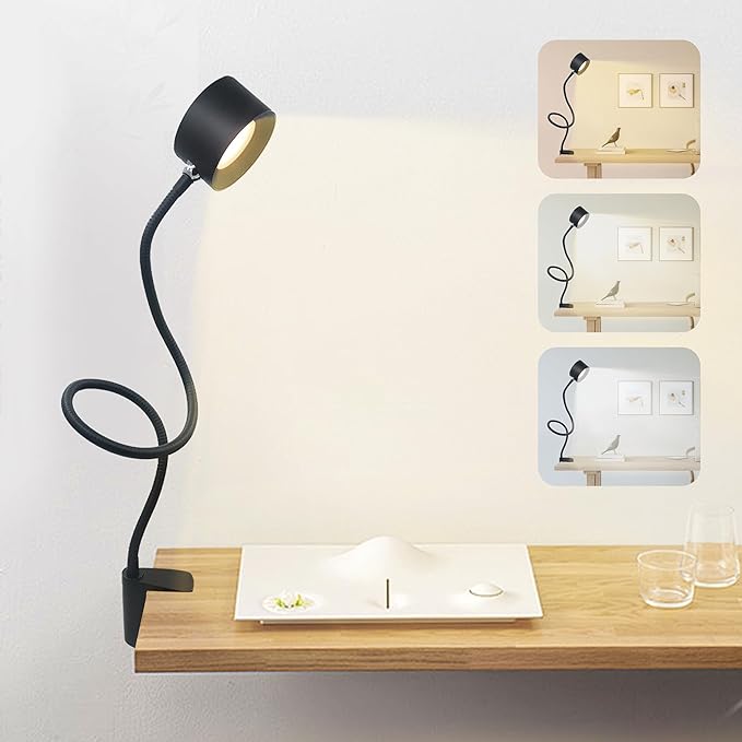 Portable and Rechargeable LED Desk Lamp,Versatile Lighting Solution for Office, Study, and Outdoor Activities