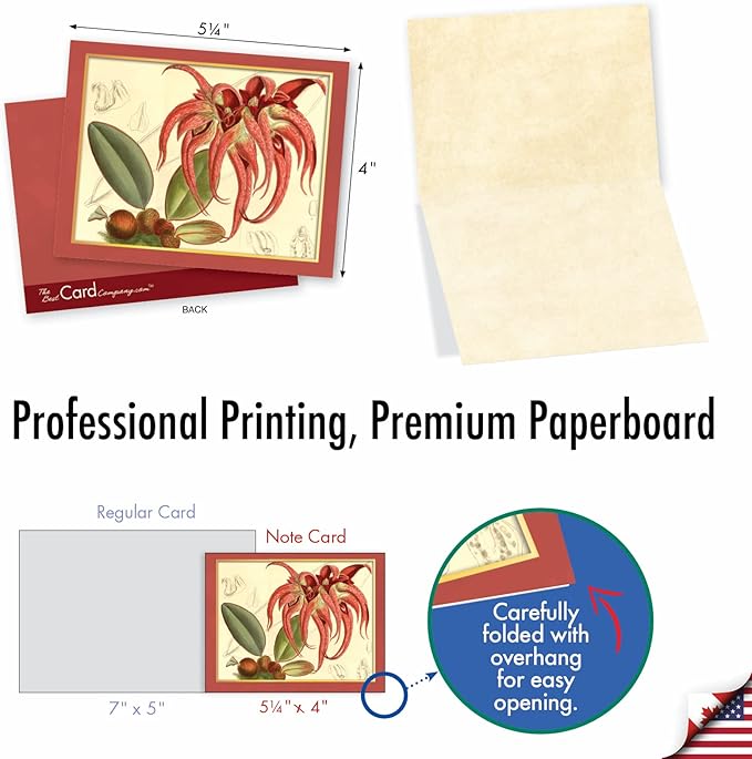 The Best Card Company - 10 Boxed Note Cards with Flowers - Blank Assorted Floral Notecards Bulk (4 x 5.12 Inch) - Tiger Orchids M10037BK