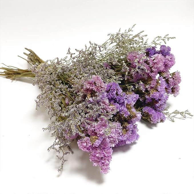 L'BREVOGA Dried Flowers with Stem, 16 inches Statice/Sea Lavender Dried Flower for Floral Arrangments Home Decoration (Statice)