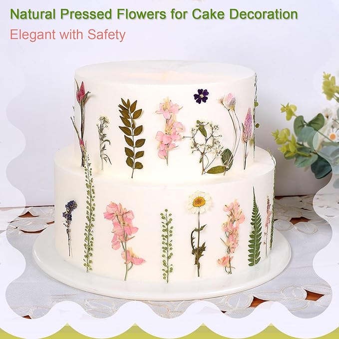 Large Dried Pressed Flowers for Art Crafts, Real Dry Natural Flower Leaf Fruit Bulk for Resin Mold, Cake Decor, Glass Frame (Spring Garden)