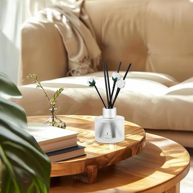Brakula 2 Pack Reed Diffuser Set, Eucalyptus & Mint Scented, Home Fragrance with 14 Sticks Bathroom Decor, Reed diffusers for Home 6.76 fl oz (Eucalyptus & Mint)