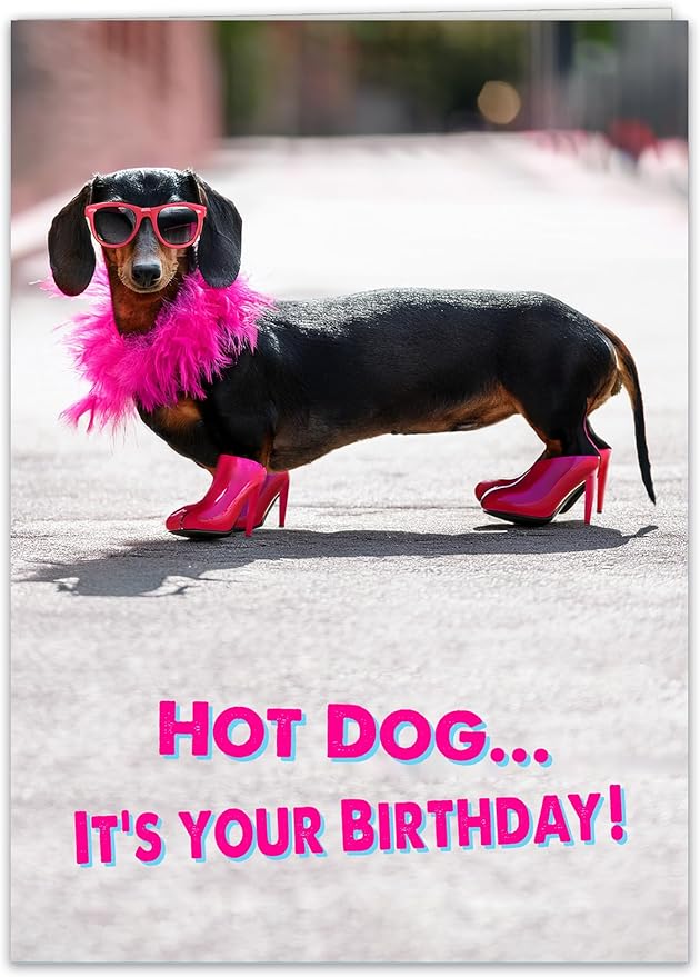 Funny Birthday Card, Funny Birthday Cards for Women, Men, Sister, Brother, kids, Friends, all the wienerful people in your life